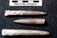 Belemnites &Hastites