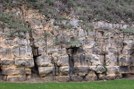 Calcaire bioclastique fin en bancs massifs et bien individualiss, rsultat de la sdimentation d'une fine mouture de bioclastes et d'une boue carbonate sur la plate-forme continentale.