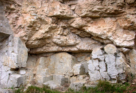 Calcaires bioclastiques grossiers  polypiers qui cachtent, en discordance, les irrgularits de la surface de l'cueil.
