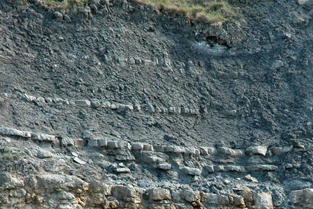 Alternance de marnes grises et de petits bancs carbonats caractrisant un dpt dans un milieu calme, au large et sur la plateforme continentale.